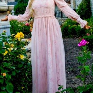 Ivy City Co Last Songbird dress